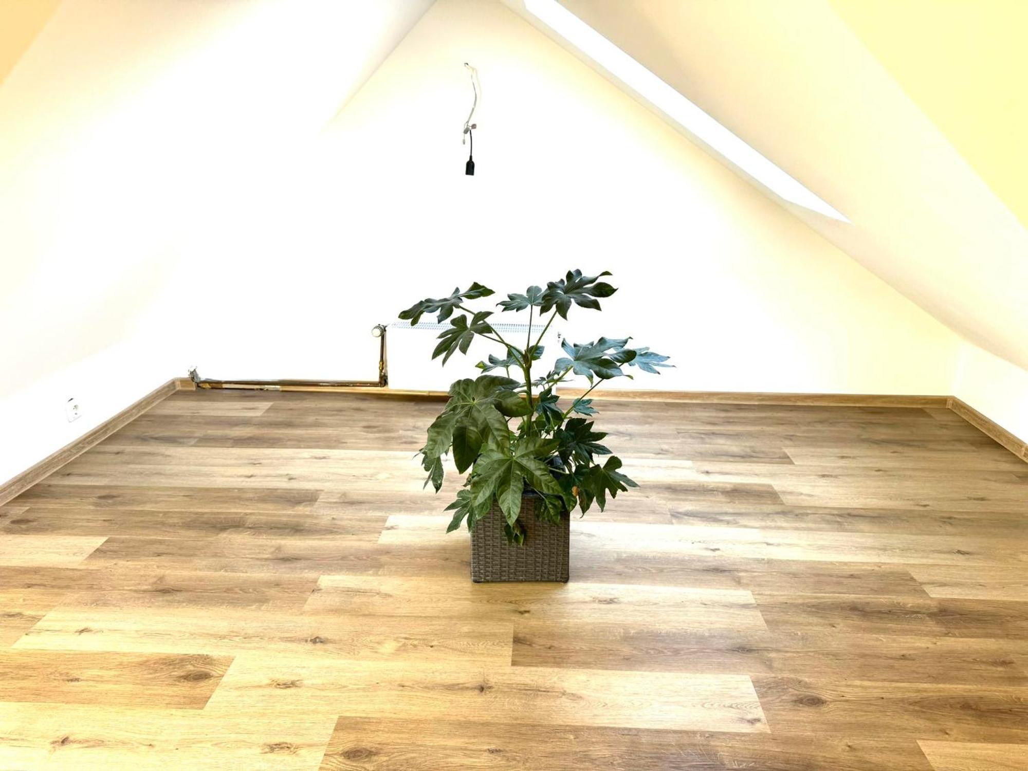 Ferienhaus Dierdorf ภายนอก รูปภาพ